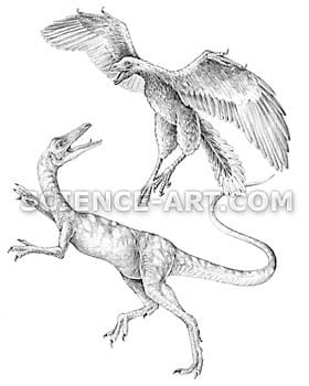 Compsognathus and Archaeopteryx by Marjorie Leggitt 