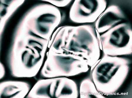 Cell Scaffold by Dr Jon Heras 