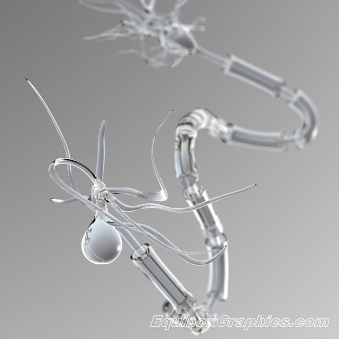 Watery neuron by Dr Jon Heras 
