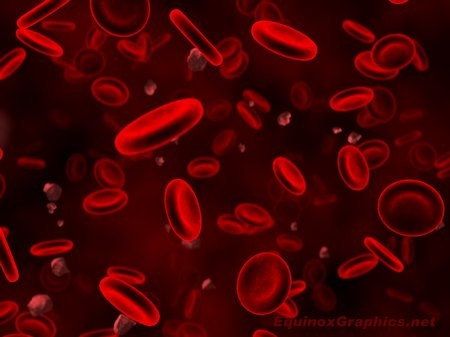 Red blood cells by Dr Jon Heras 
