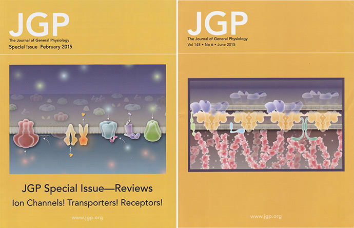 Cover illustrations created for JGP by Heather McDonald 