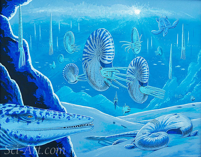 Ammonite Nursery by R. Gary Raham 