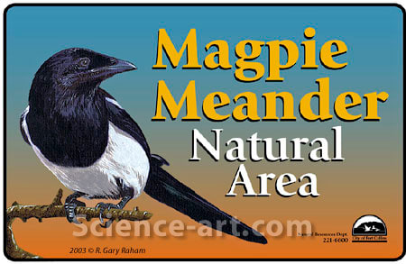 Magpie Meander by R. Gary Raham 