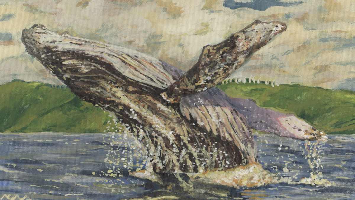Humpback Breach by Netta Dar, Image 1.