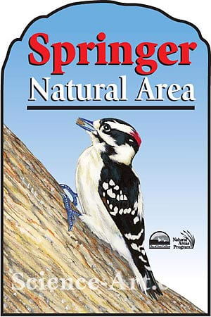 Springer Natural Area by R. Gary Raham 
