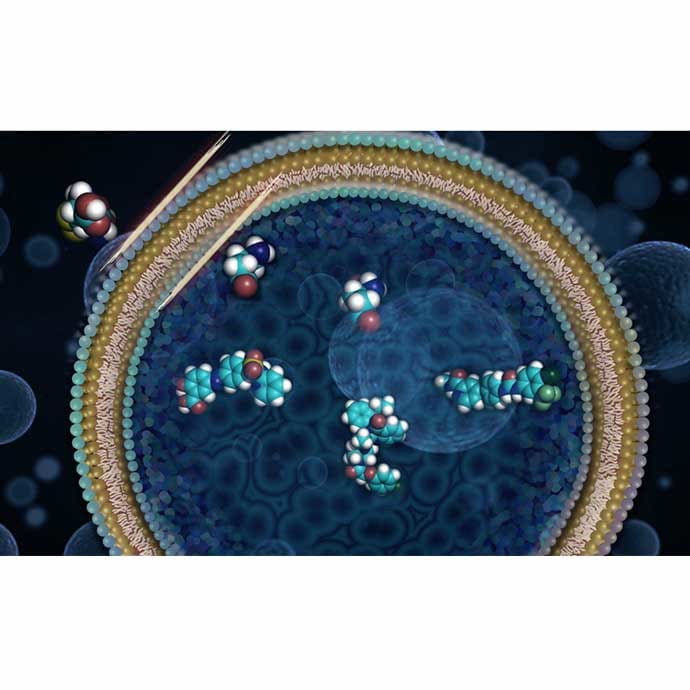 Cell and Cystine delivery by Nicoletta Barolini 