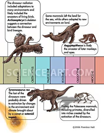 Detail: "Key Changes In Evolution" Timeline by Gail Guth 