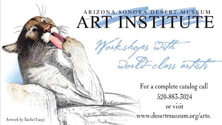 Arizona Sonora Desert Museum Art Institute Ad by Rachel Ivanyi, AFC 