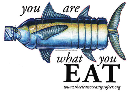 You are What You Eat by Kelly Finan 