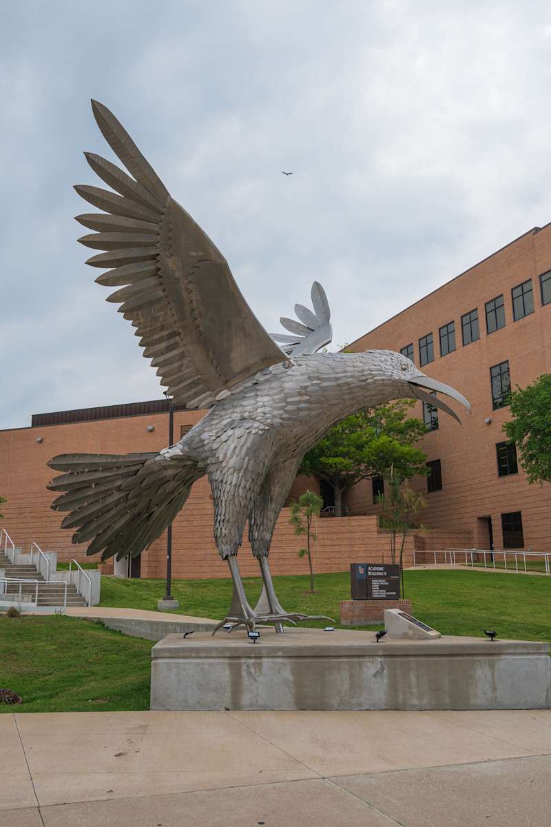 The Raven by Ed Wilson, Image 1.
