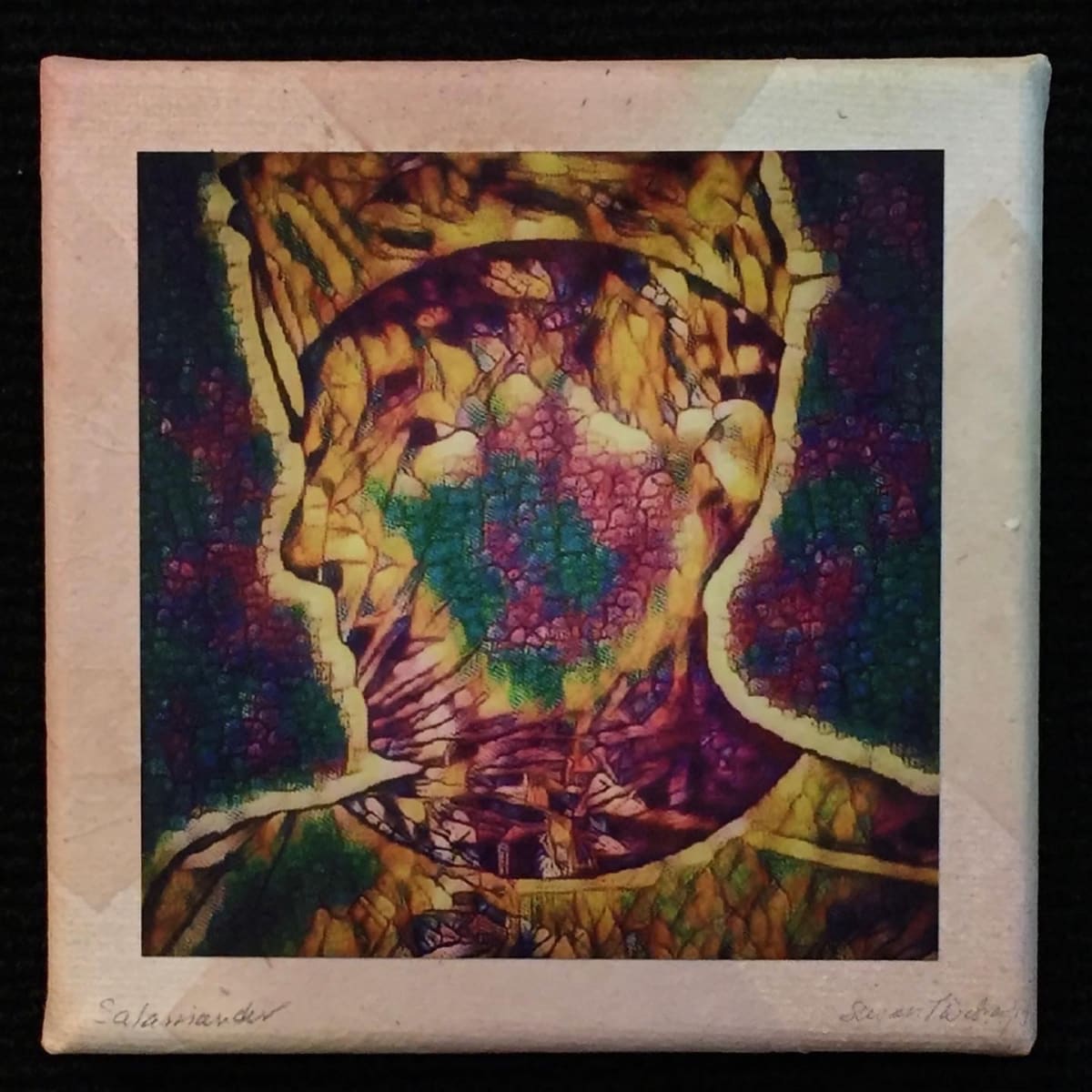 Salamander: Evolution by Susan Detroy  Image: “Salamander” is part of the "Evolution" series. 
The image as well as all the pieces in the “Evolution” series, is inspired by the "Portrait of a Woman" project. I create the small pieces using recycled teabag papers along with digital images, watercolor and ink. 
The ideas for the “Evolution” series emerged as a group in the later part of 2019 initiated by a small works art challenge. 
The "Portrait of a Woman" project evolved in 2016 and continues with digital, 2-D, 3-D and video artworks. 

Signed on front and back with authenticity certificate. 

Plus shipping. Purchases over $500 shipping is free. Shipping available in the US.  Individual global shipping upon request.