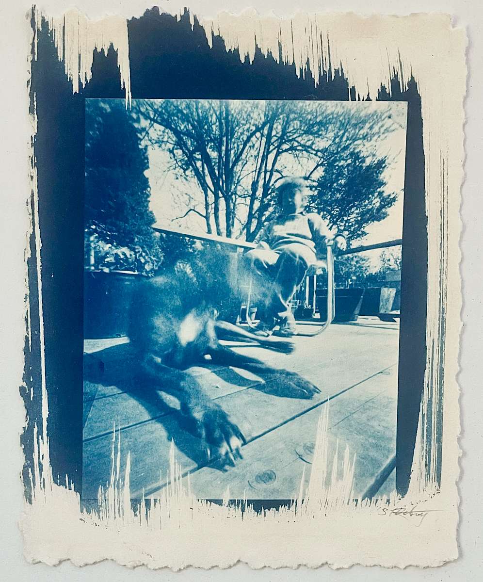 Blue Dog by Susan Detroy  Image: Blue Dog is a sweet cyanotype image printed from a contact negative. The image is produced with a pinhole box camera. I learned historic photographic process including Cyanotype while studying at the U of Oregon. I continue my love for the use of these interesting printing methods. The piece is available with or without frame and can be shipping in the US. For International shipping contact me. 