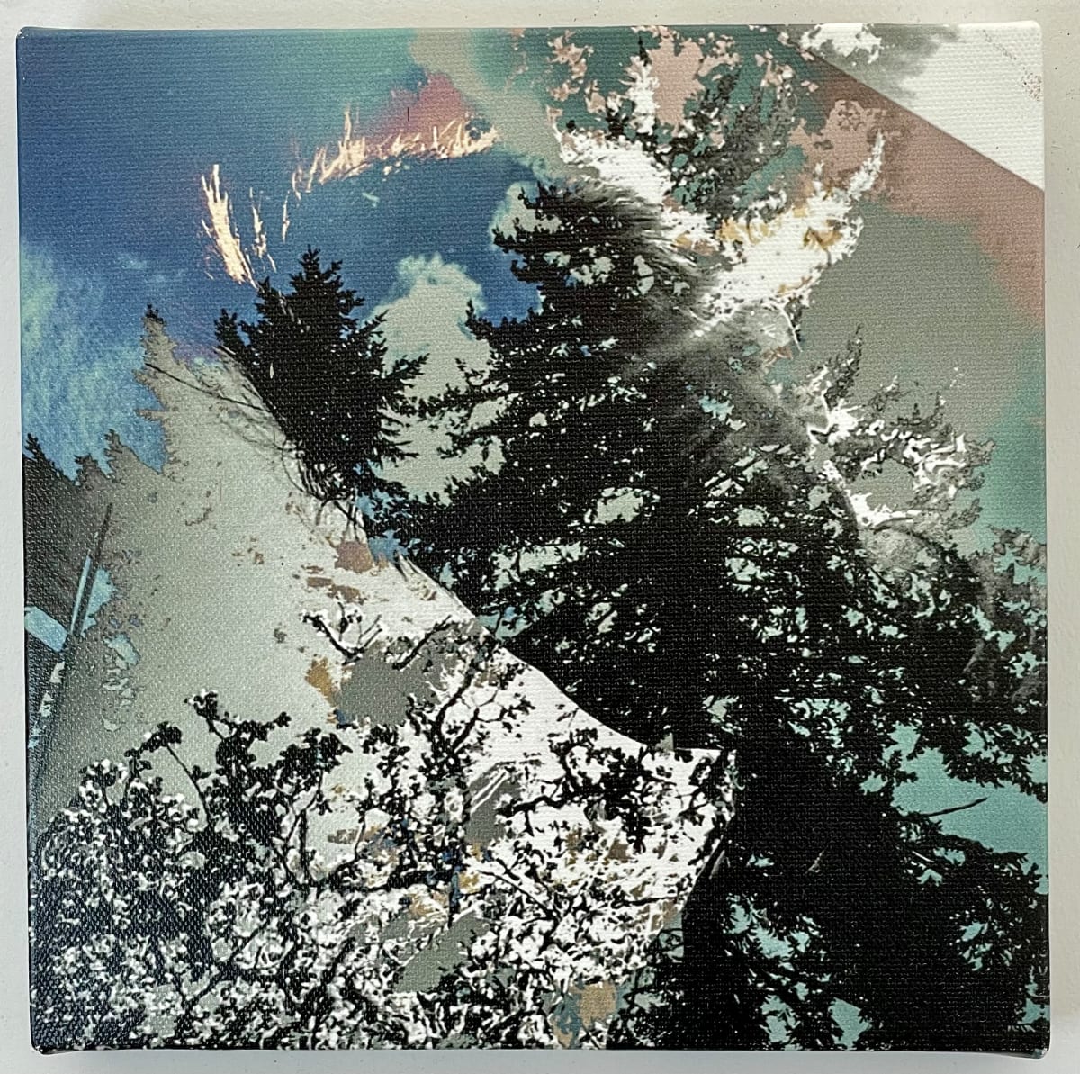 Silhouette by Susan Detroy  Image: “Silhouette” is one creation in an expansive project that emerged from my personal journey in aging. This image is one of the earlier pieces within the larger project. 
The project began in 2016 and continues with artworks currently . This piece uses my technique of using my self portrait melded with a landscape of a beloved bird refuge where I find serenity and solace. 