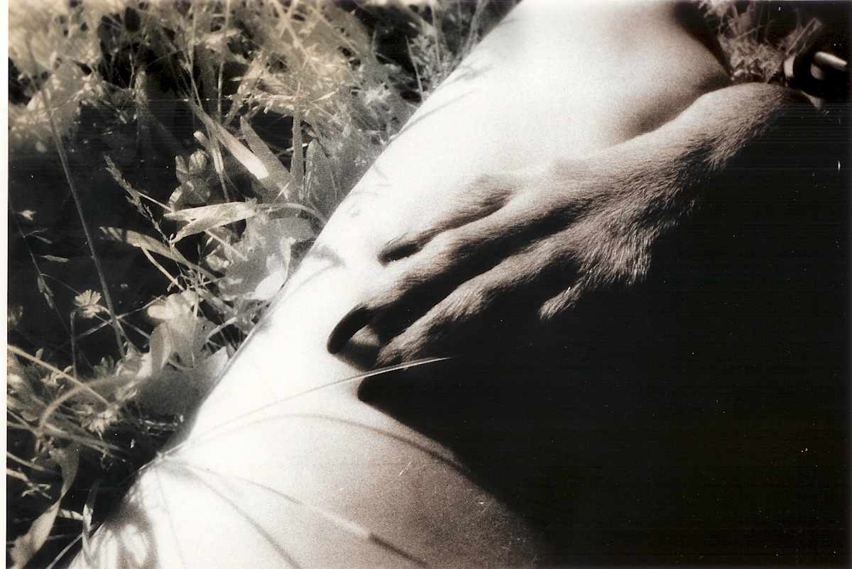 Paw and Leg by Susan Detroy  Image: "Paw and Leg" is an infrared, handprinted, toned photograph. Creating art using my beloved doberman, Isabel was a delight for me and sometimes for her.  For twelve years Isabel was my main subject. I learned to use infrared film at the U of Oregon and loved the eery look and luminous quality. This print is one of many in the series. 