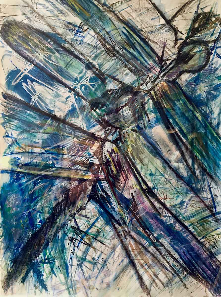 She Carries Us With Her 30x22 by Susan Detroy  Image: A uniquely created print using solvent transfer, historic cyanotype, pen, pencil, watercolor. One in the series of dragonfly artworks from the "Worship of Precious" series. Dragonfly imagery offers symbolic meanings of transformation and evolution. 