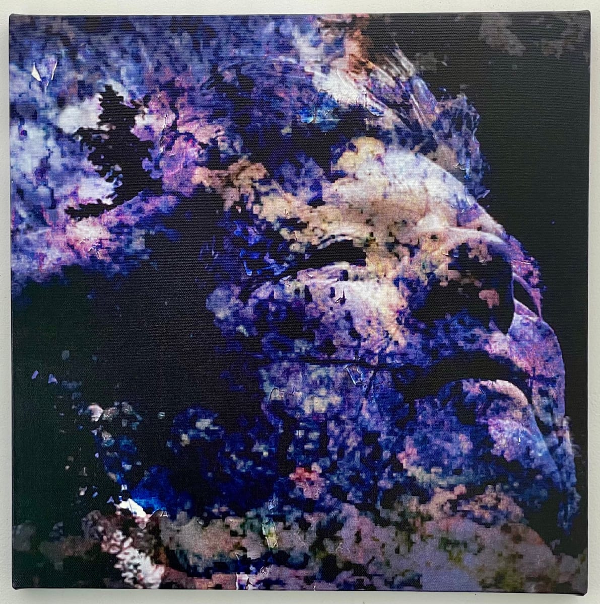 Almost There by Susan Detroy  Image: “Almost There ” is one creation in an expansive project that emerged from my personal journey in aging. The project began in 2016 and continues with artworks currently . This piece uses my technique of using my self portrait melded with a landscape of a beloved bird refuge where I find serenity and solace. 
“Portrait of a Woman” is a n extensive project encompassing artworks in multiple media.  
The origin of the project grew from my personal journey in aging. Pieces incorporate my face with natural elements. 
After six years now the pieces in this collection include canvas, metal and paper prints as well as a few small experimentations. 