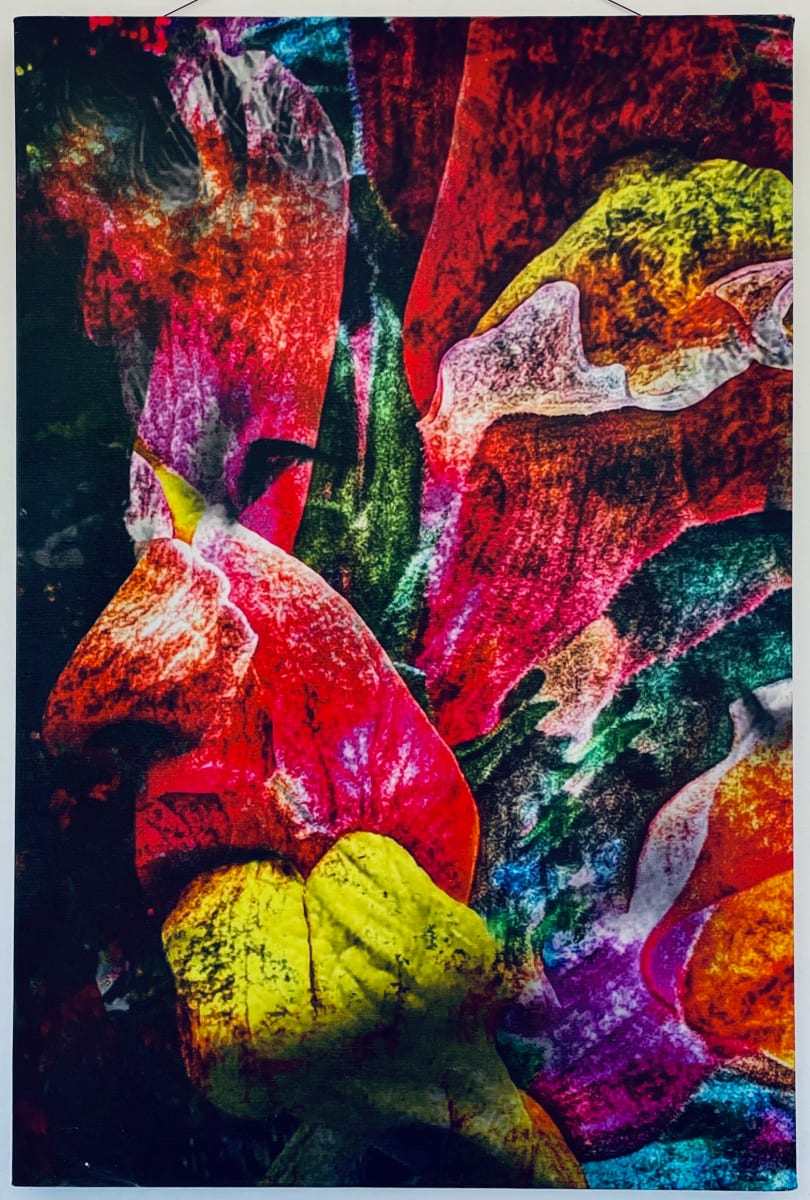 We Are What We Love by Susan Detroy  Image: “We Are What We Love” is one creation in my expansive project that emerged in my personal journey in aging. “Portrait of a Woman” began in 2016 as I continue creating pieces. 
"We Are What We Love" in addition to focusing on the themes of the larger project, touches on how our passion is what defines us. 
As the largest undertaking in my art career it is an extensive venture encompassing artworks in multiple media.  The origin of the project grew from my personal journey in aging, using my own face. Pieces incorporate my face with natural elements. After six years now the pieces in this collection include canvas, metal and paper prints as well as a few small experimentations. 