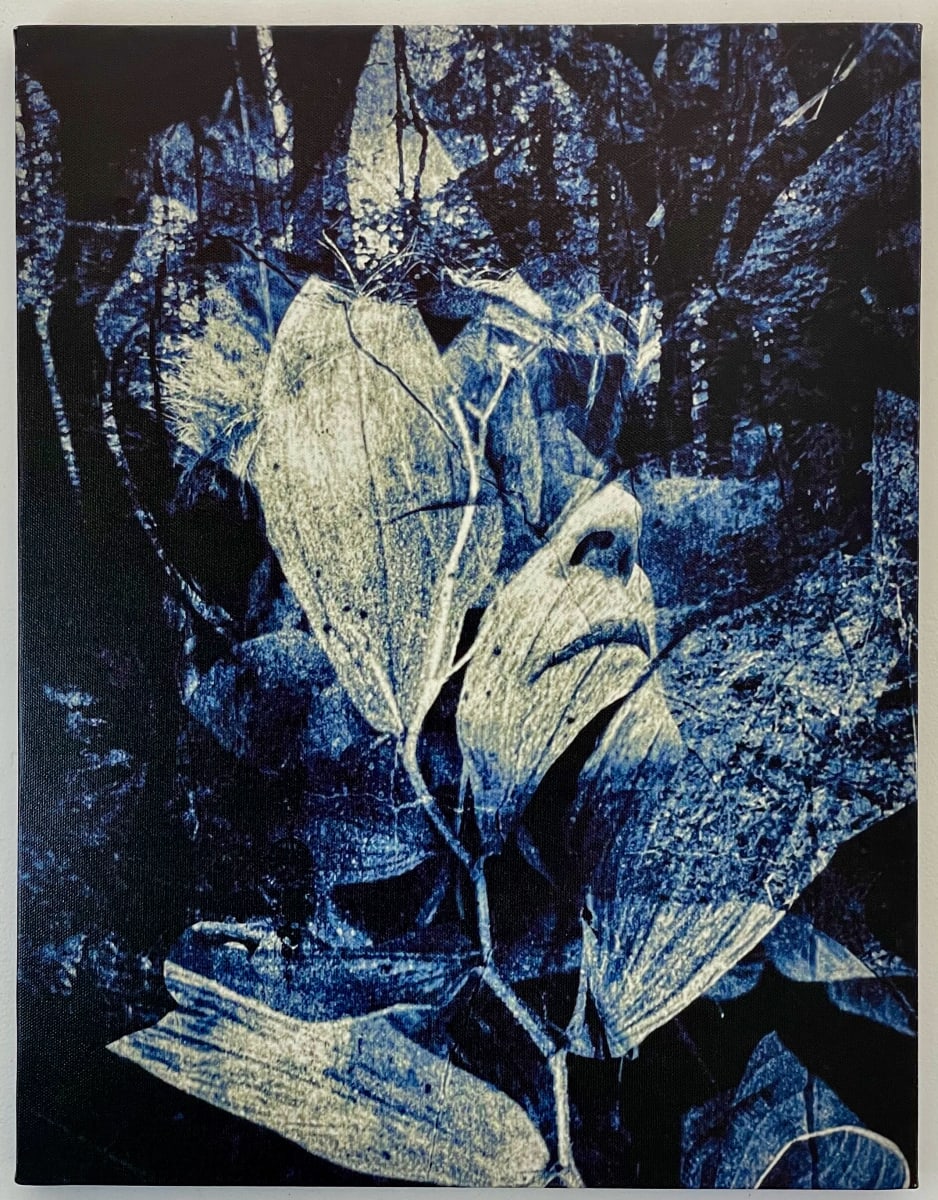 Leaving by Susan Detroy  Image: "Leaving” is one creation in my expansive project that emerged from my personal journey in aging. “Portrait of a Woman” began in 2016 as I continue creating pieces. In addition to the themes in the larger project. "Leaving" is in a group of pieces which use leaves as an expression for comprehending the aging path. 
As the largest undertaking in my art career it is an extensive venture encompassing artworks in multiple media.  The origin of the project grew from my personal journey in aging, using my own face. Pieces incorporate my face with natural elements. After six years now the pieces in this collection include canvas, metal and paper prints as well as a few small experimentations. 