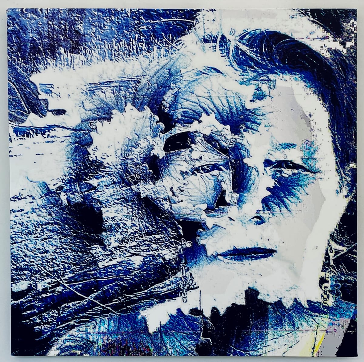 Blue.Period. by Susan Detroy  Image: “Blue.Period.” is one creation in an expansive project that emerged from my personal journey in aging.  This interesting piece created using my self portrait and a flowering kale includes many of the themes of the larger "Portrait of a Woman" project as well as those about transformation and evolution. She is available in this large canvas print as well as in the smaller "Evolutions" canvas pieces. 
“Portrait of a Woman” is a n extensive project encompassing artworks in multiple media.  The origin of the project grew from my personal journey in aging. Pieces incorporate my face with natural elements. After six years now the pieces in this collection include canvas, metal and paper prints as well as a few small experimentations. The project began in 2016 and continues with artworks currently .