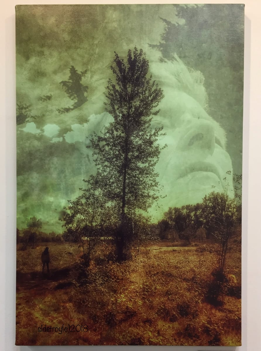 The Sky Feeds Me by Susan Detroy  Image: "The Sky Feeds Me ” is one creation in an expansive project that emerged from my personal journey in aging.  In addition to the project themes, her creation is guided by earth love and fascination with sky and clouds 
The project began in 2016 and continues with artworks currently . This piece uses my technique of using my self portrait melded with a landscape of a beloved bird refuge where I find serenity and solace. 
“Portrait of a Woman” is a n extensive project encompassing artworks in multiple media.  
The origin of the project grew from my personal journey in aging. Pieces incorporate my face with natural elements. 
After six years now the pieces in this collection include canvas, metal and paper prints as well as a few small experimentations. This large canvas was slightly damaged in a recent transport. I am offering the piece reduced  plus shipping. 