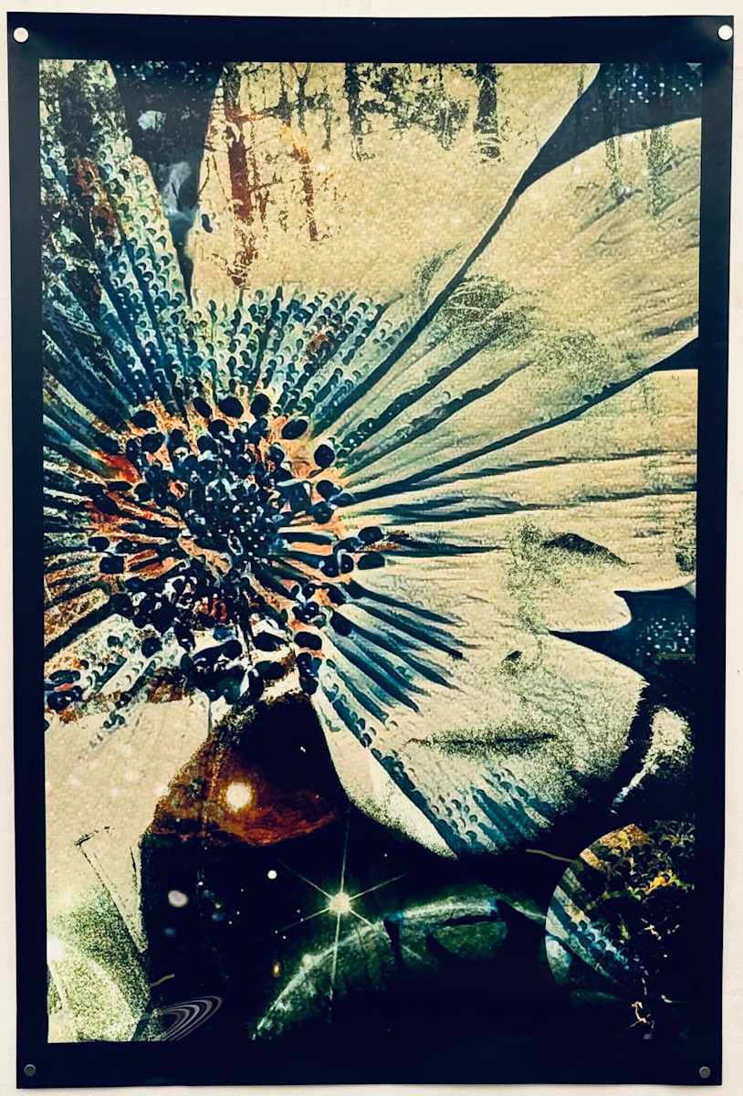 Celestial - Poster by Susan Detroy, Image 1.