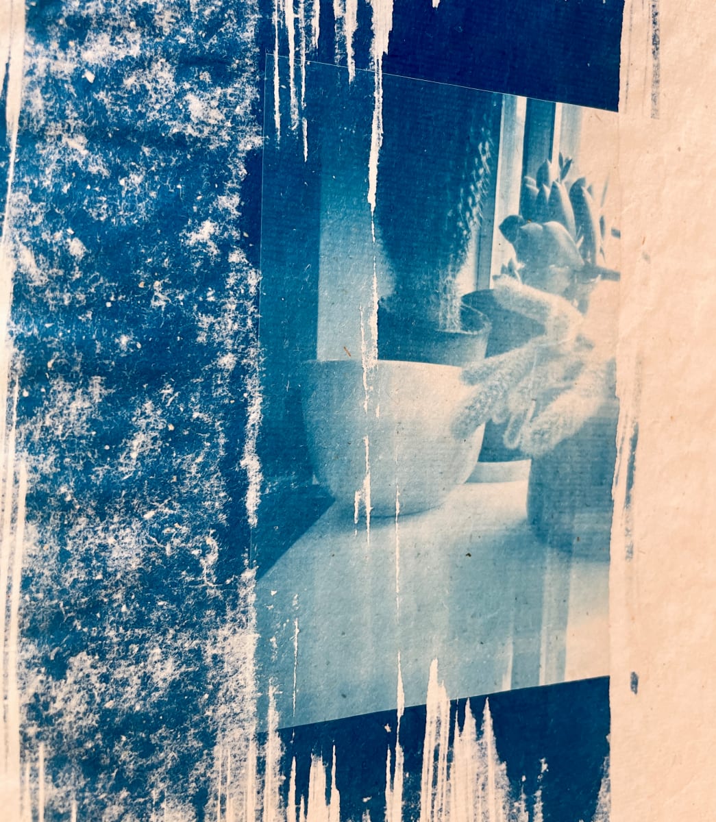 Window Cactus #4 by Susan Detroy  Image: The special texture created by the light sensitive emulsion sets this piece apart and enhances the pinhole cyanotype image. The pinhole camera produces a soft close up cactus image sweep through by painted light sensitive emulsion.  This is printed on rice paper using cyanotype historic photographic process. Offered as a print and can be framed. Using historic Cyanotype printing these Cactus Window pieces are in the collection “Worship of Precious-Cactus.” Produced with a hand made pinhole camera the lens effect adds a fun and unique perspective. Created during my employment as a photographic support staff in a science bio optics lab housed in a basement I appreciated the sunken windows at the back of the lab, using them to produce art..
The hand produced art is inspired by Cactus in their diversity of form. Artworks in the collection are a mix of transfers prints, watercolor, pen and pencil, including historic photographic techniques of VanDyke Brown and Cyanotype. Each artwork is one of a kind, worshipping the wonder of plants in our earthly existence.