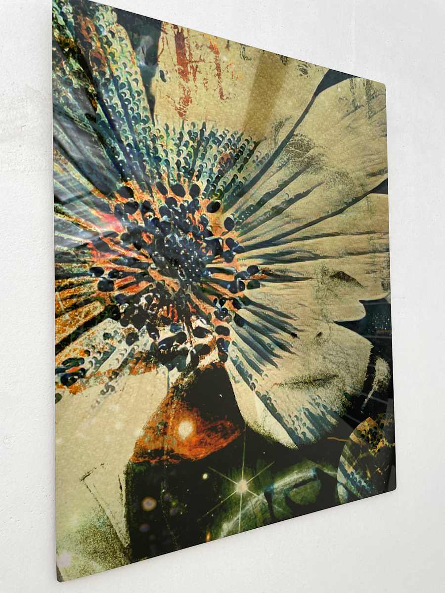 Celestial by Susan Detroy  Image: "Celestial " is one of three metal prints  in my expansive project that emerged from my personal journey in aging.  As well as including the themes in this project of images, "Cosmos“ encompasses ideas about our cosmic world. 