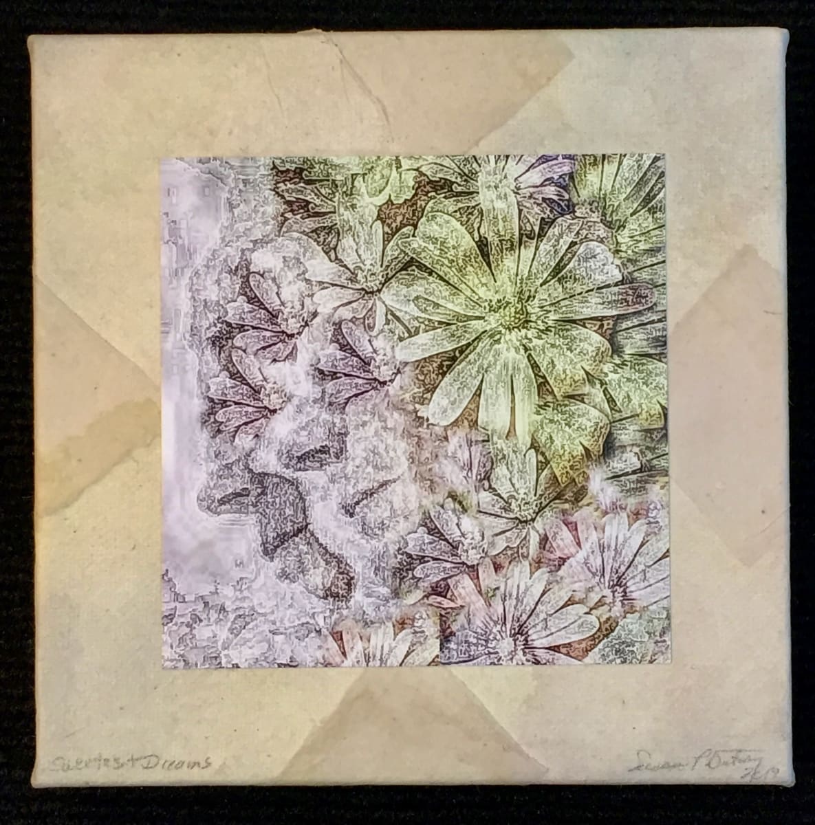 Sweetest Dreams: Evolution by Susan Detroy, Image 1.
