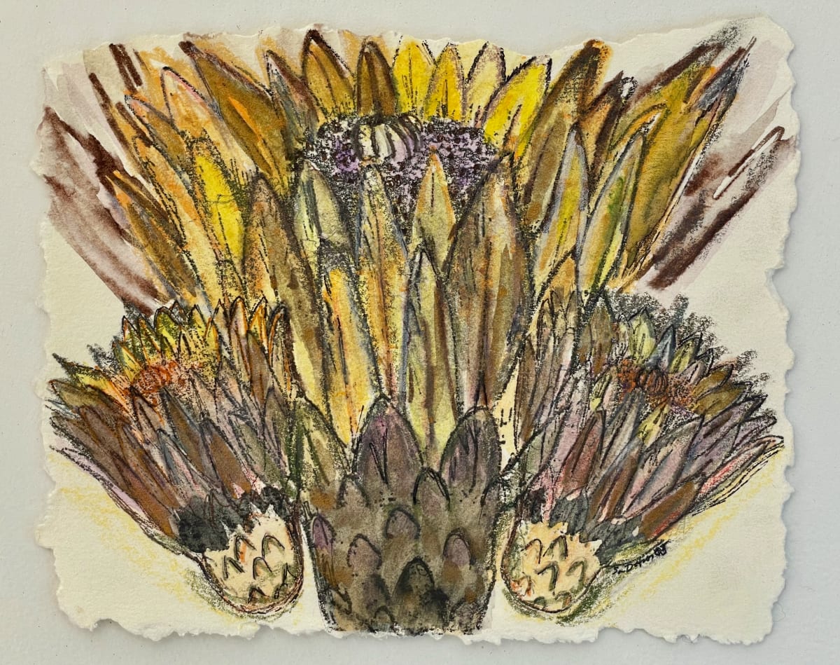 Beloved by Susan Detroy  Image: "Beloved" is inspired by Cactus in their diversity of form. Created using transfers, watercolor, pen, and pencil. One of a kind art, worshipping the wonder of plants in our earthly existence.  