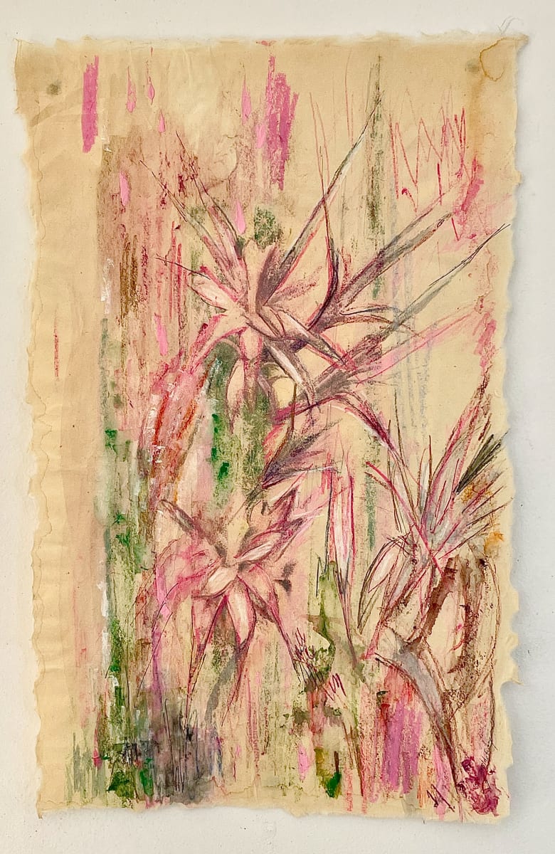 Cactus Pink by Susan Detroy, Image 5.