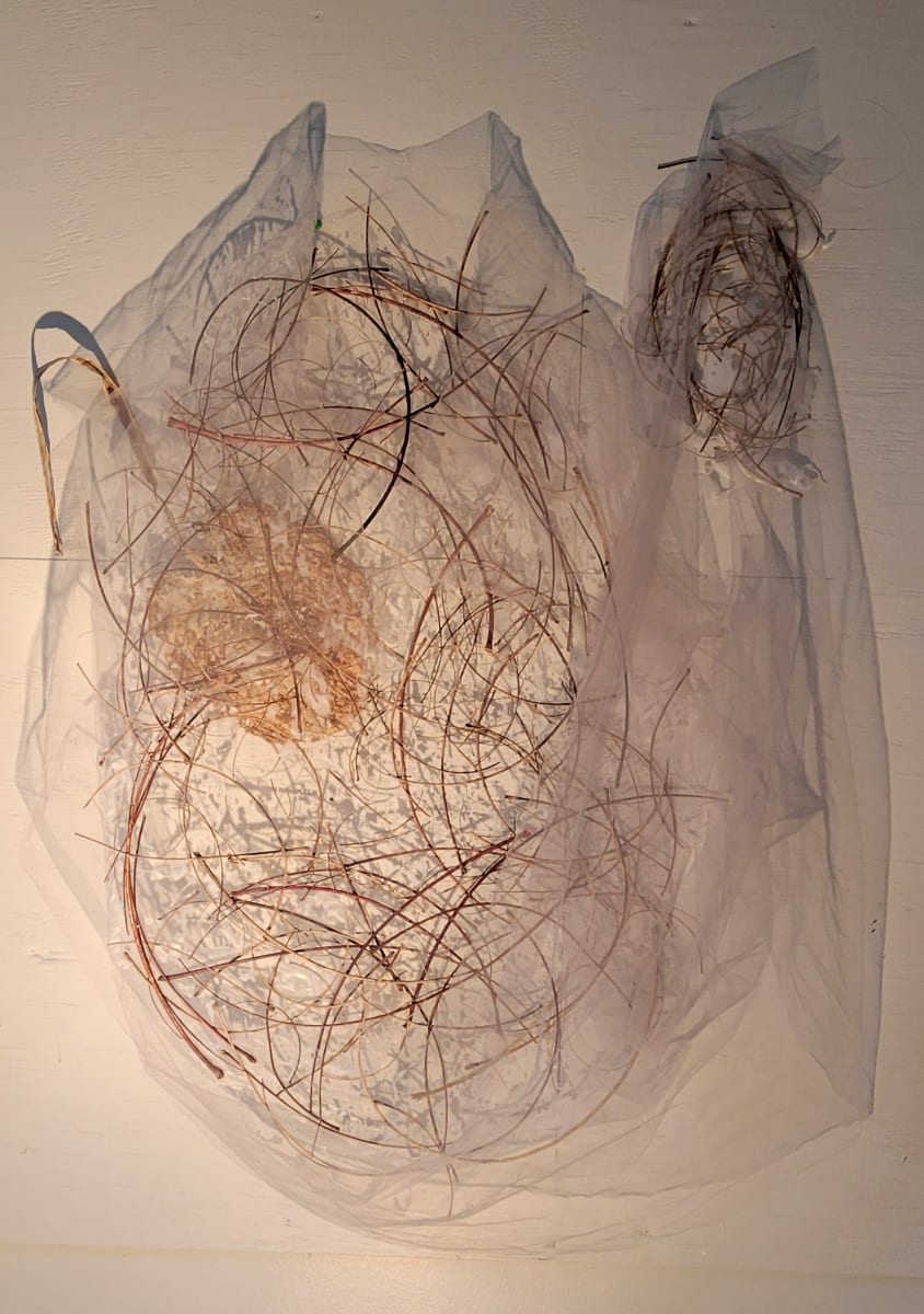Untitled net by SP Estes  Image: netting, waxed hosta leaf, branches, glue, stems