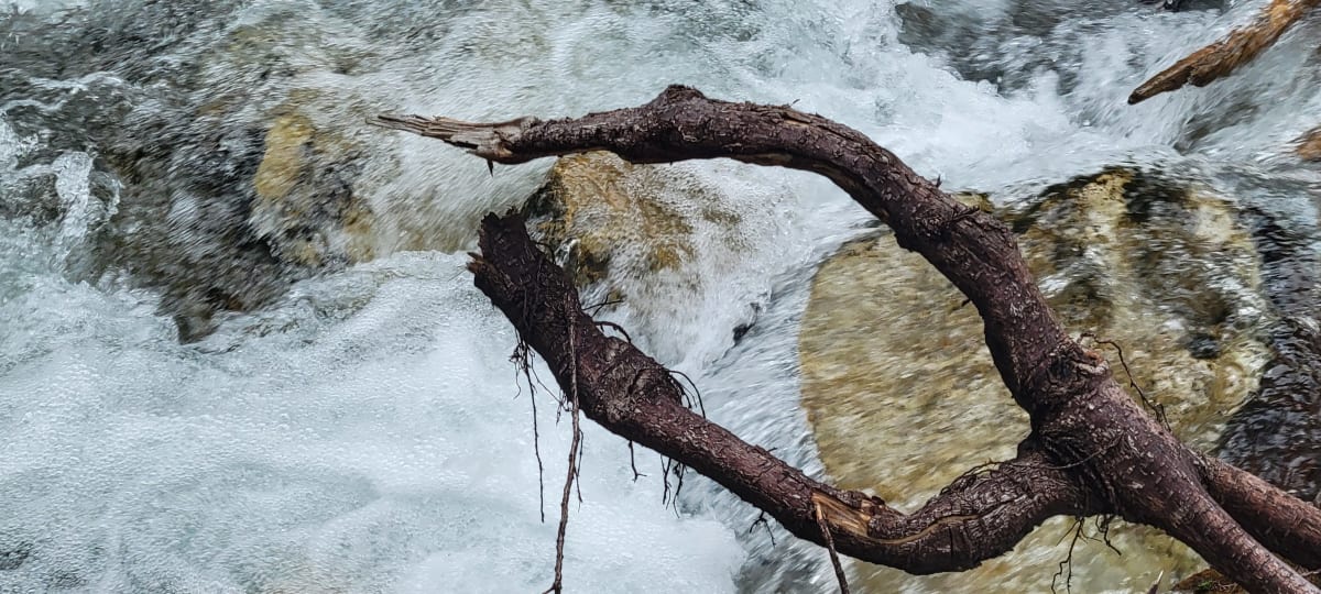 branch holding stone by SP Estes 