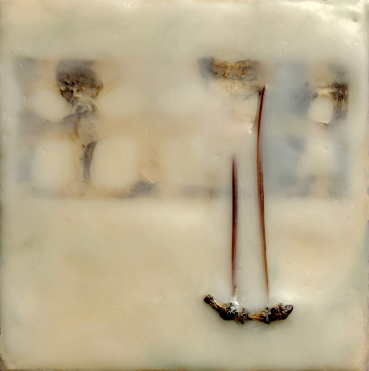 Sailing  on a foggy by SP Estes  Image: pine needles, handmade paper, encaustic on board