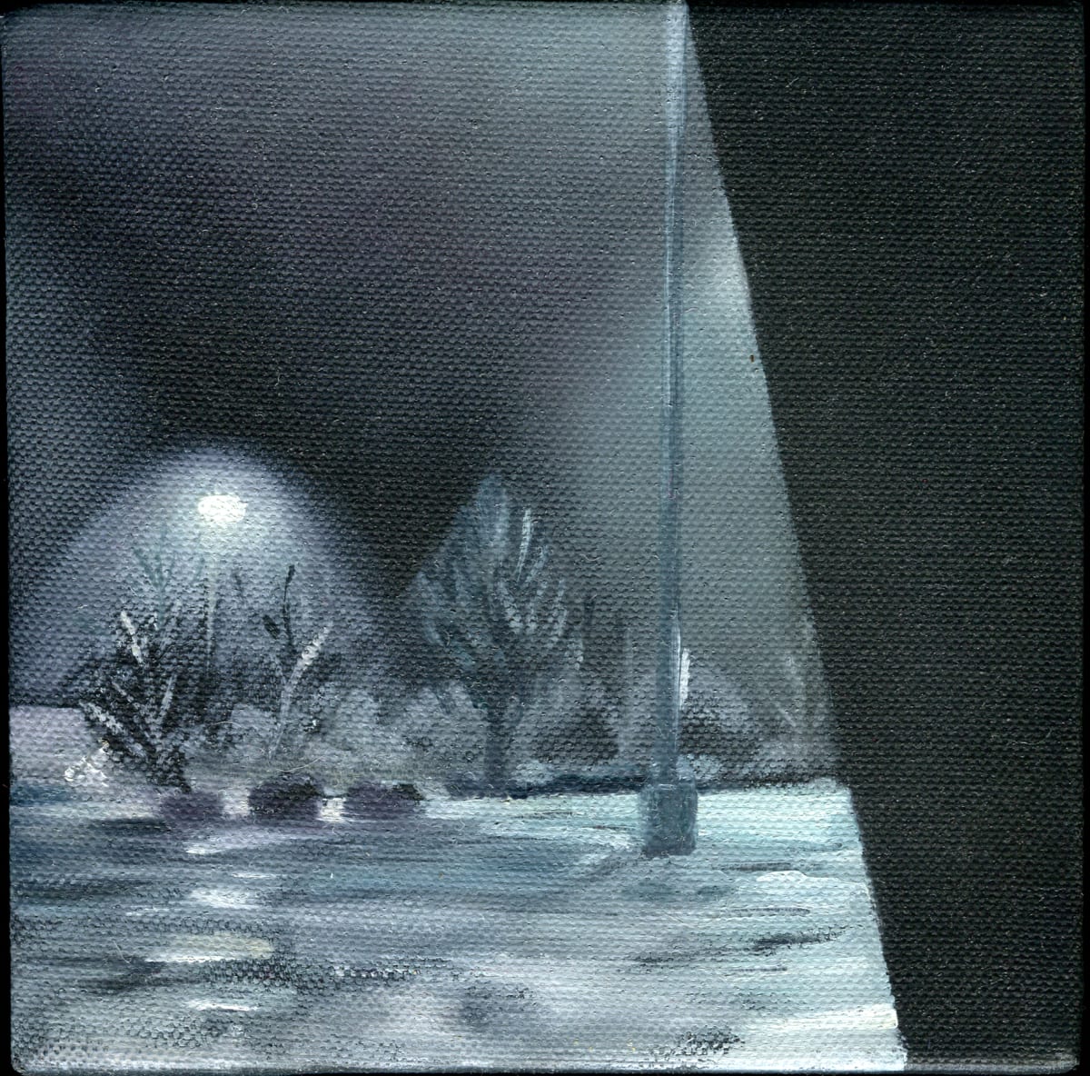 Snowy Car Park by Heather Lewis  Image: A blue-grey scene, with lights from tall poles, showing a snowy, wet car park with bushes and small trees in rows.  We see this beyond a slanting black area, suggesting that we're in a car.  