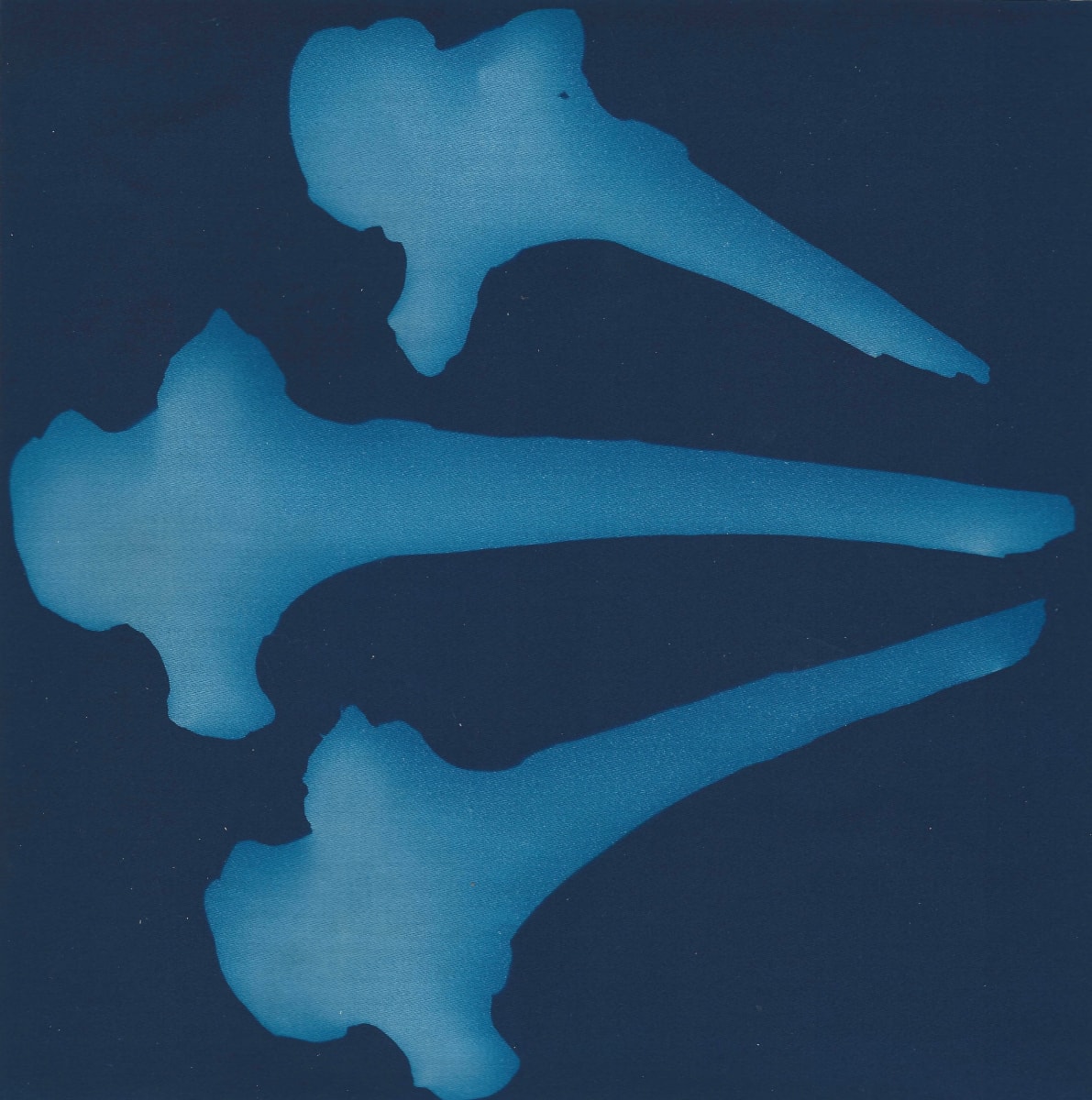 3 Bones by Amanda Porter 