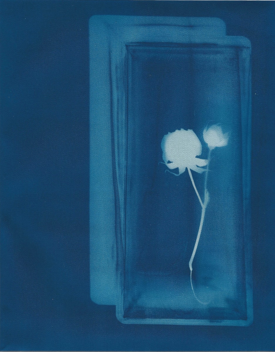 Safeguarded by Amanda Porter 