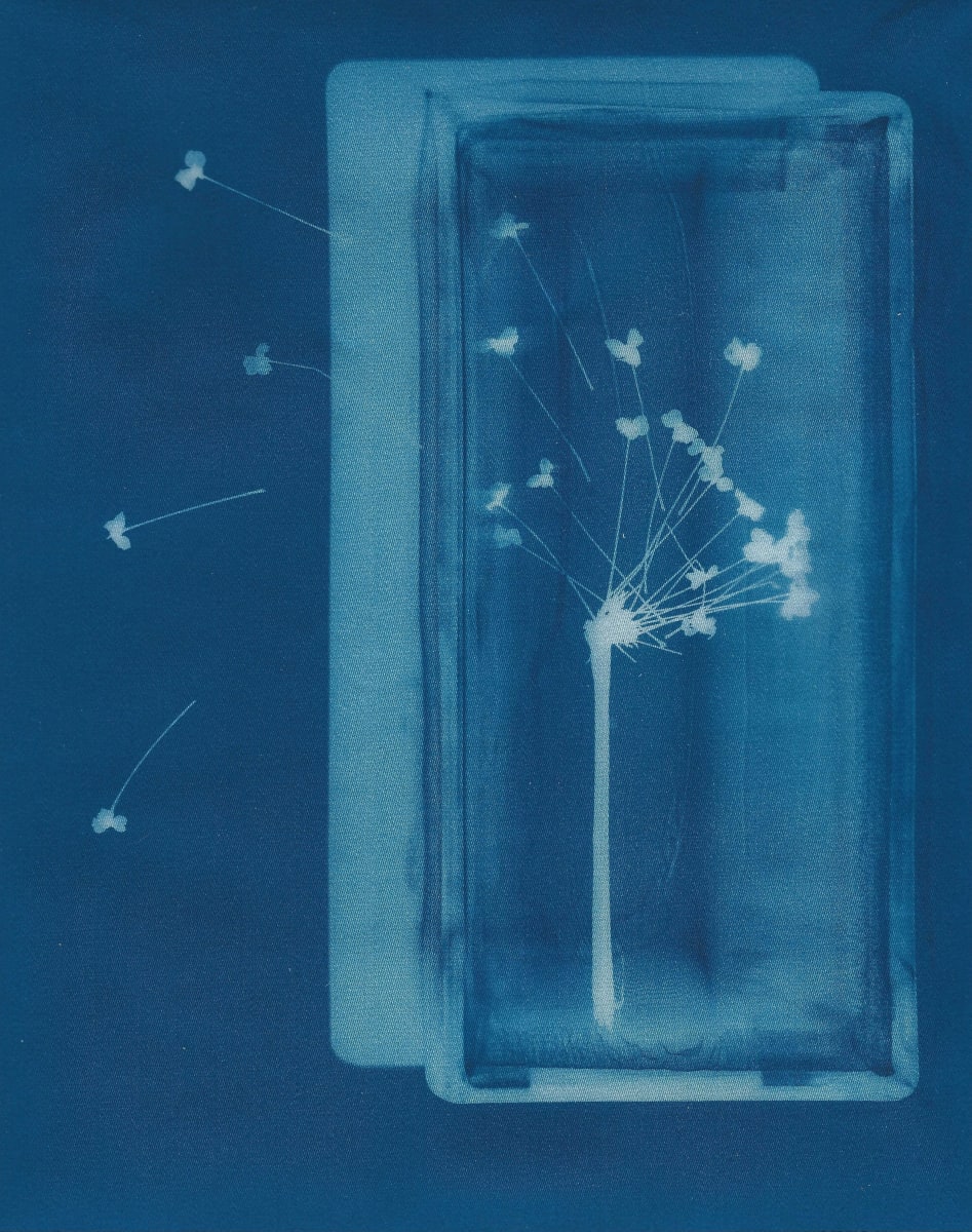 Escaping by Amanda Porter 