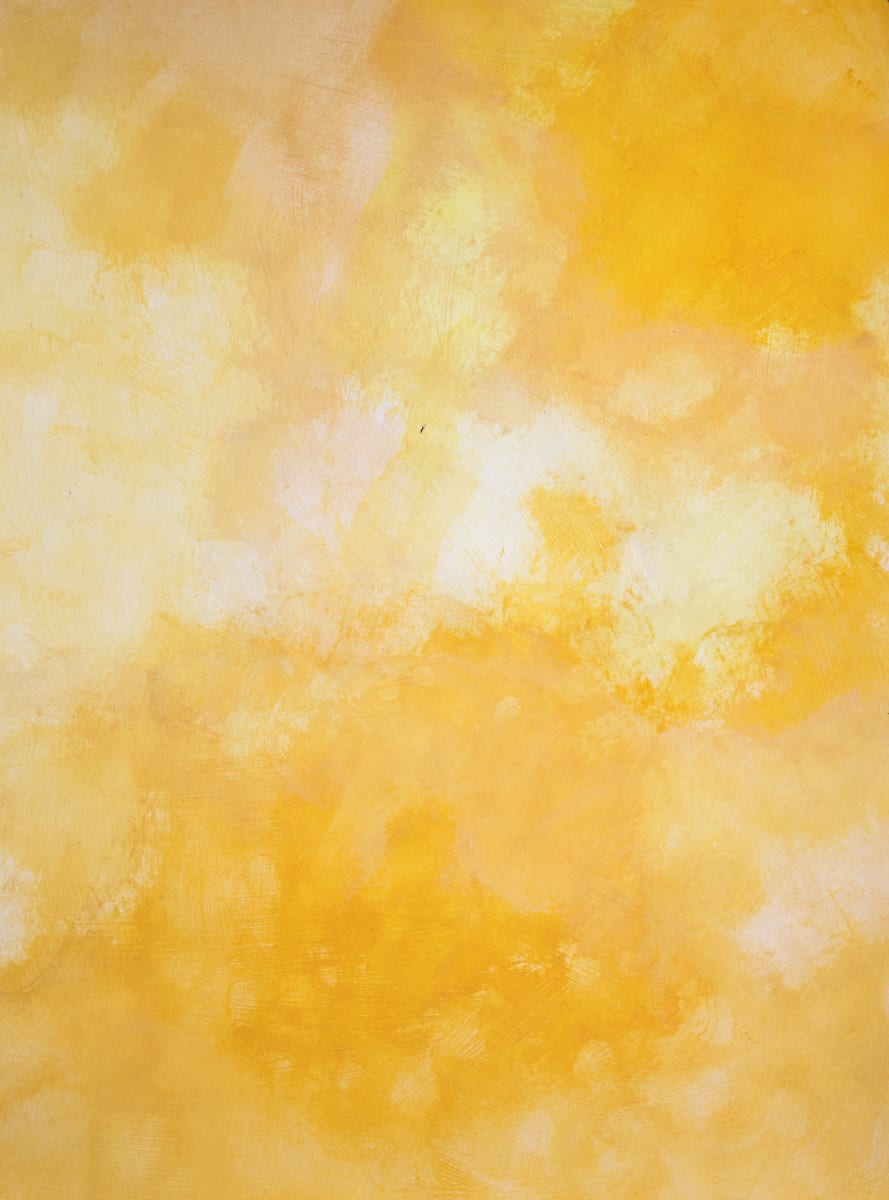 Field_06_-_4L8A0431_aydfbr_4 