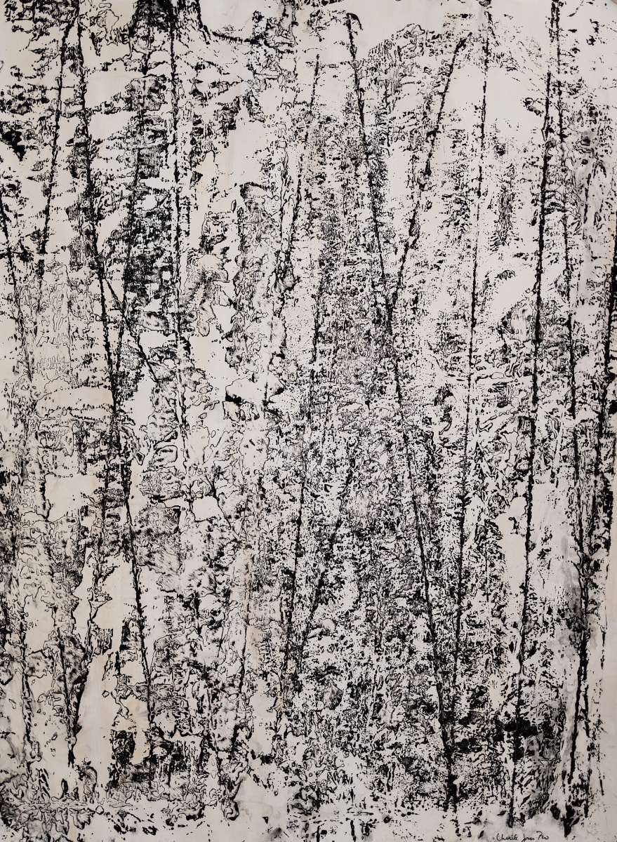 Lines_Series_11 