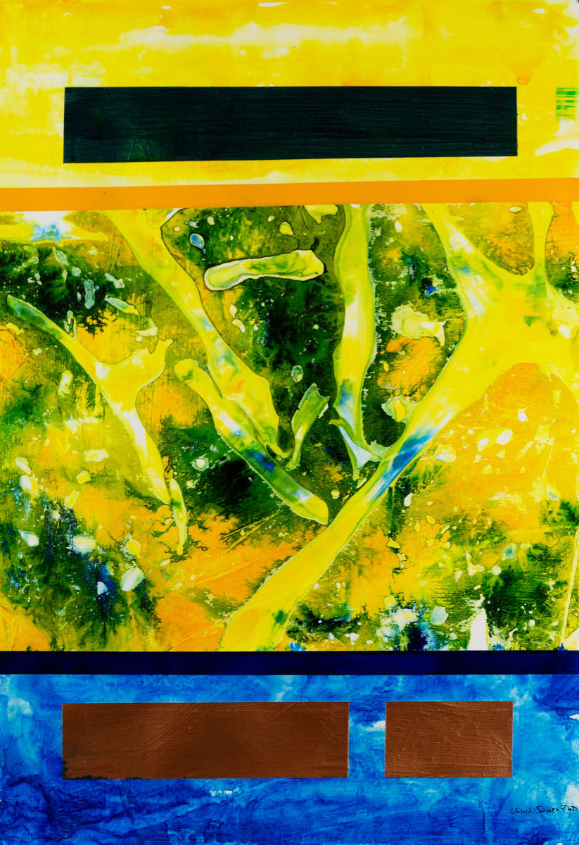 Water_Field_-2 