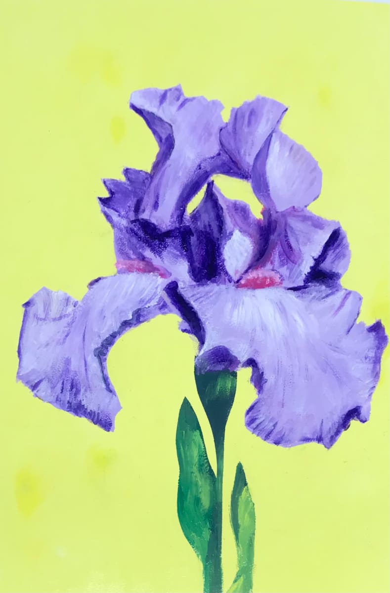 Purple Iris 