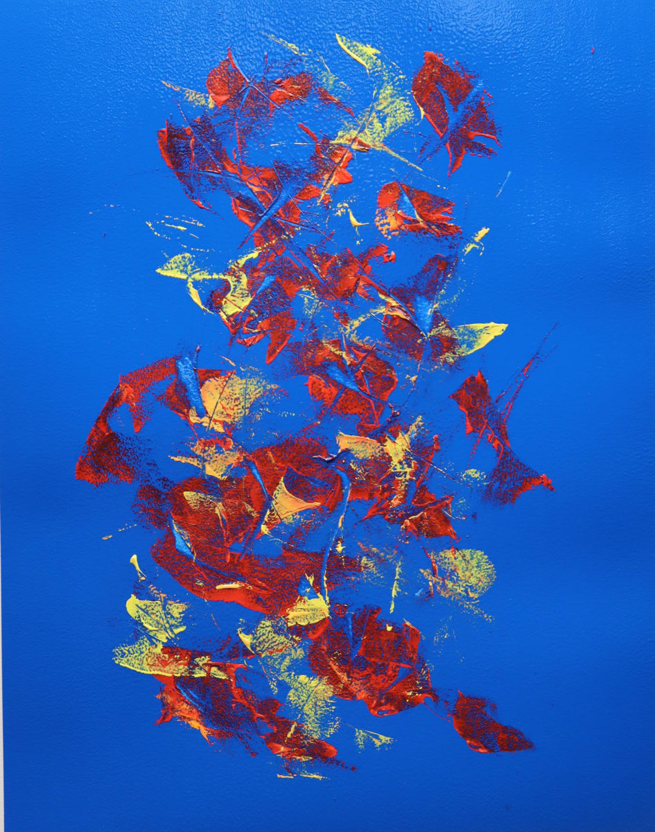 The Enlightened Fool 