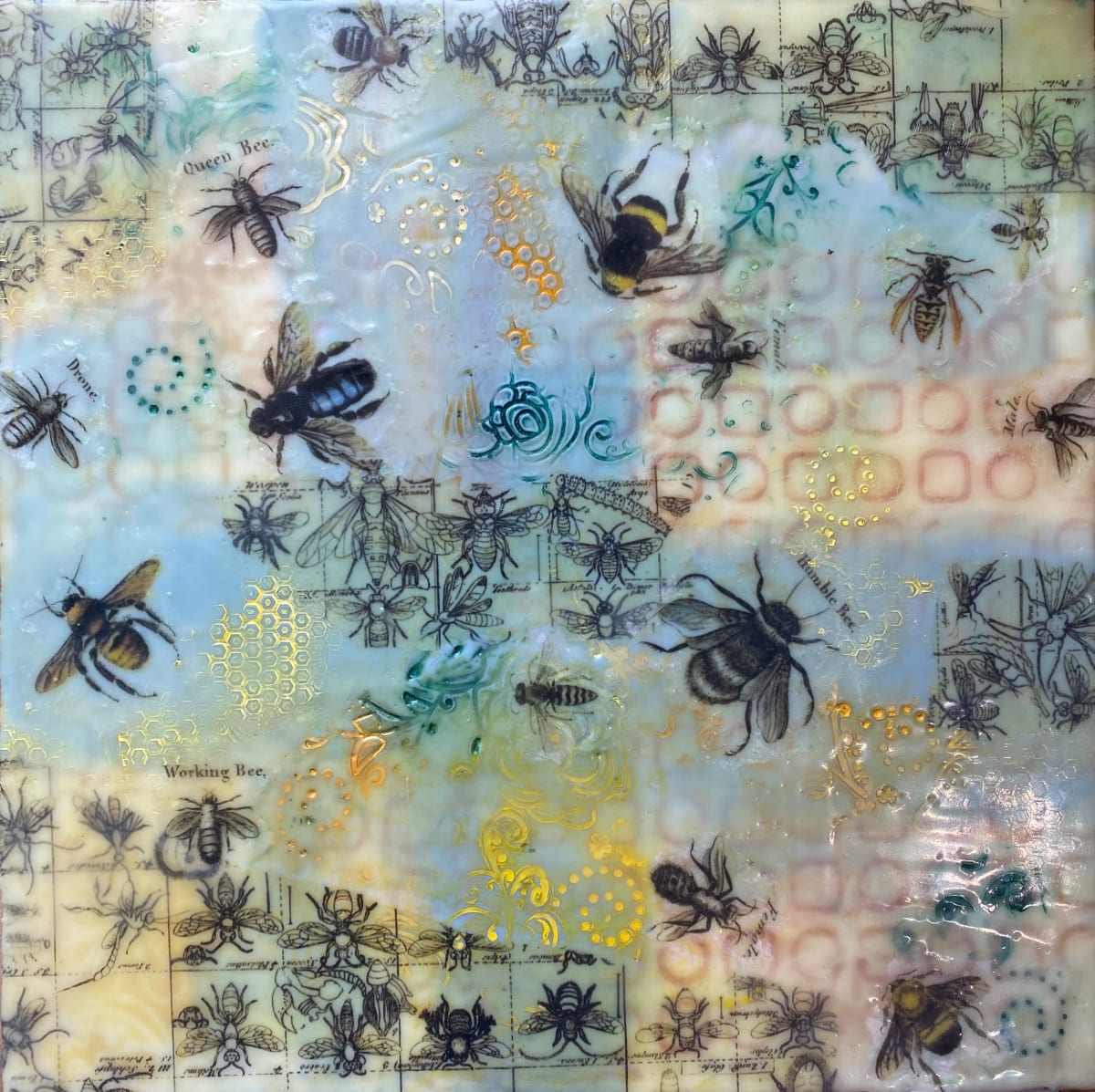 Bee is for Biodiversity, ll by Paula McCormick 
