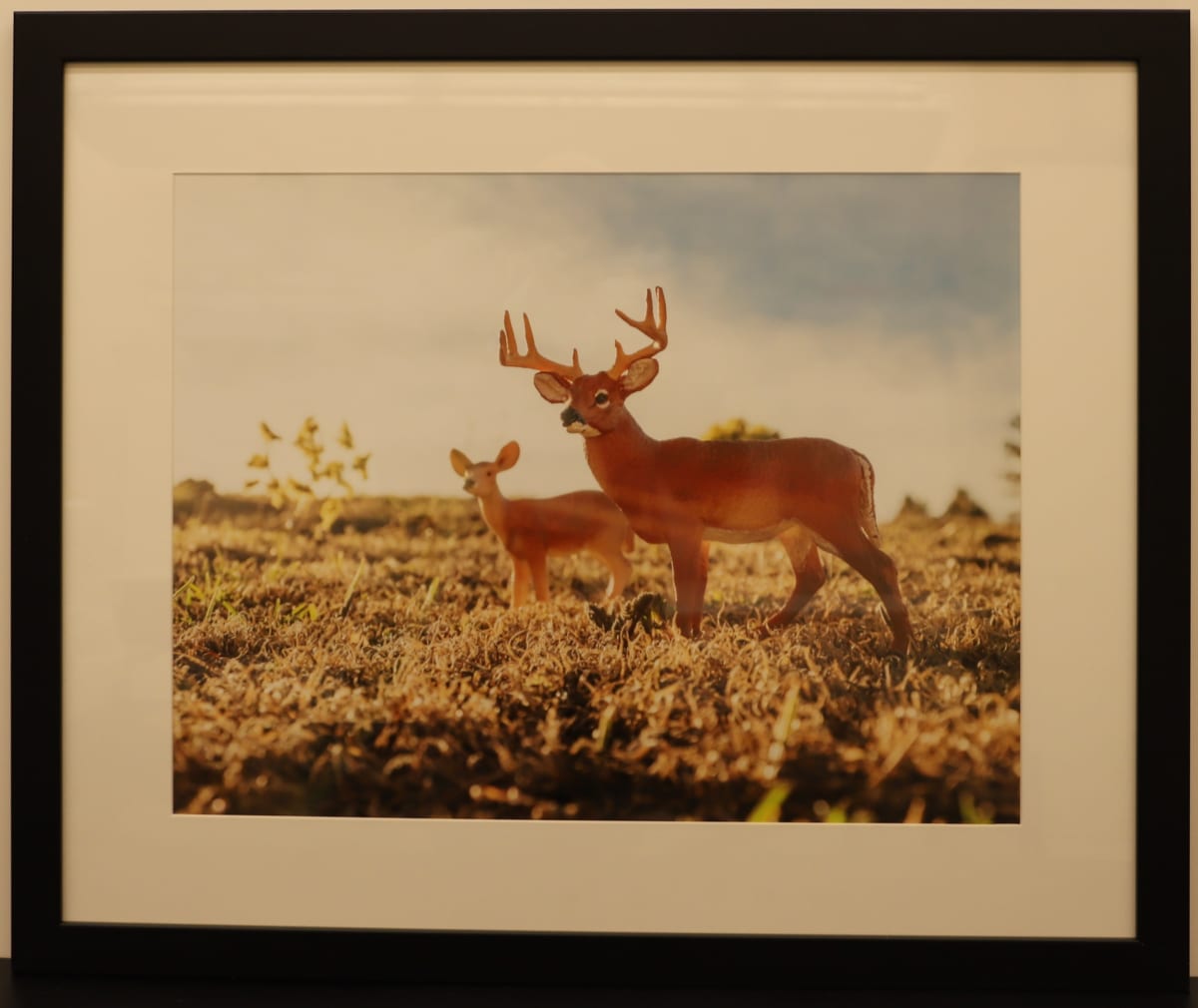 Deer by Samantha Pavelsek-Simmons  Image: "Deer," photograph by Samantha Pavelsek-Simmons, 2015