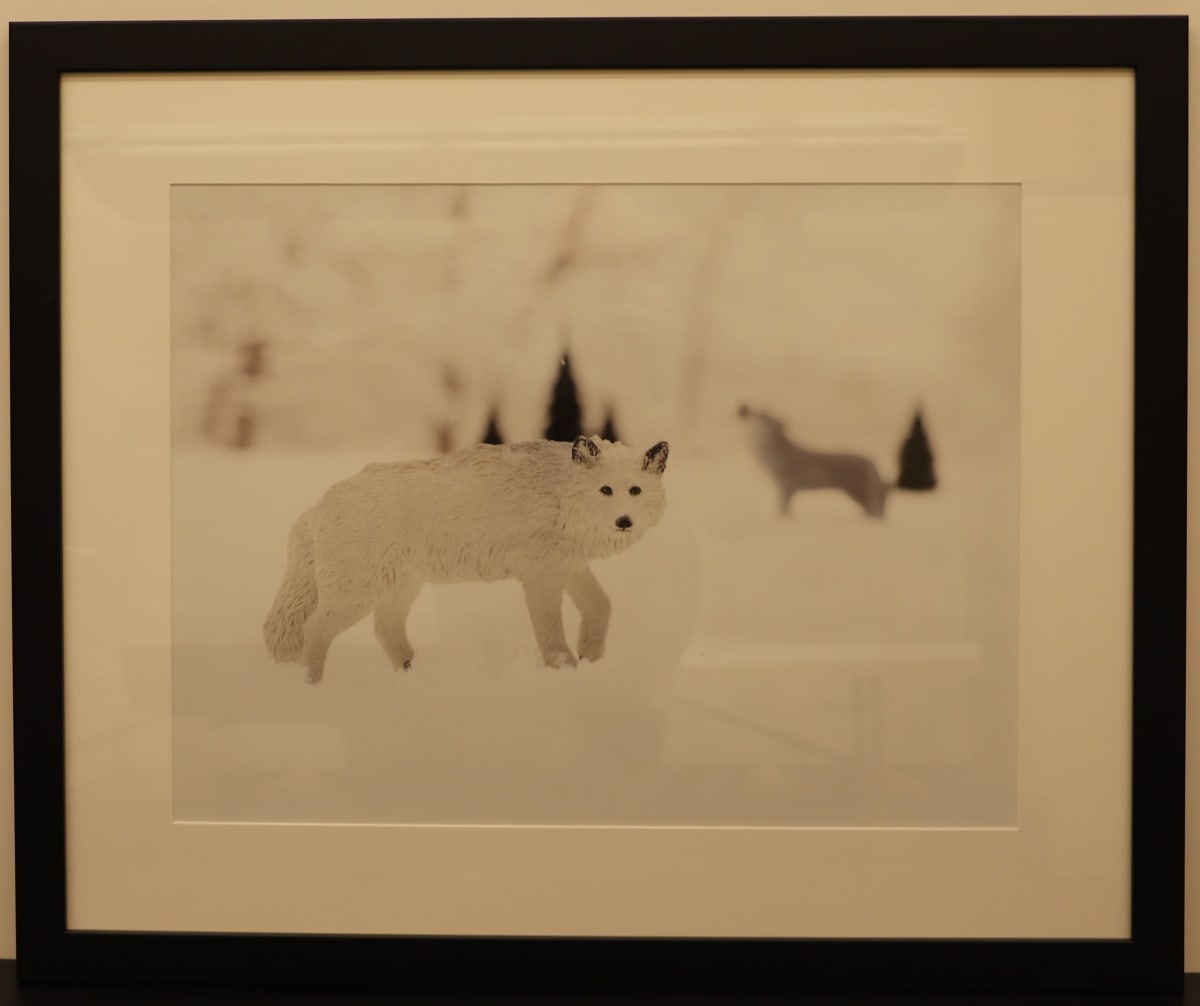 Wolves by Samantha Pavelsek-Simmons  Image: "Wolves," photograph by Samantha Pavelsek-Simmons, 2015