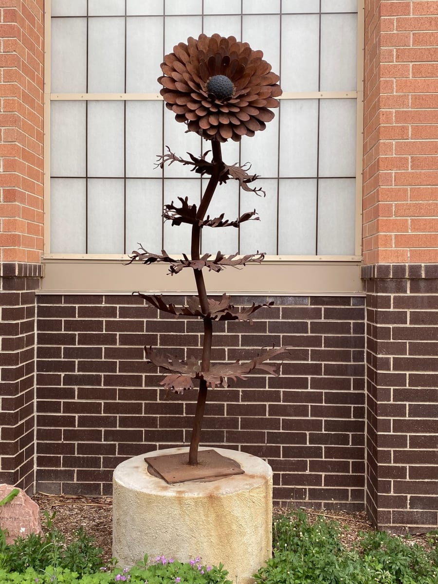 Aster-Mum by Michael Mladjan  Image: "Aster-Mum" by Michael Mladjan, 2012