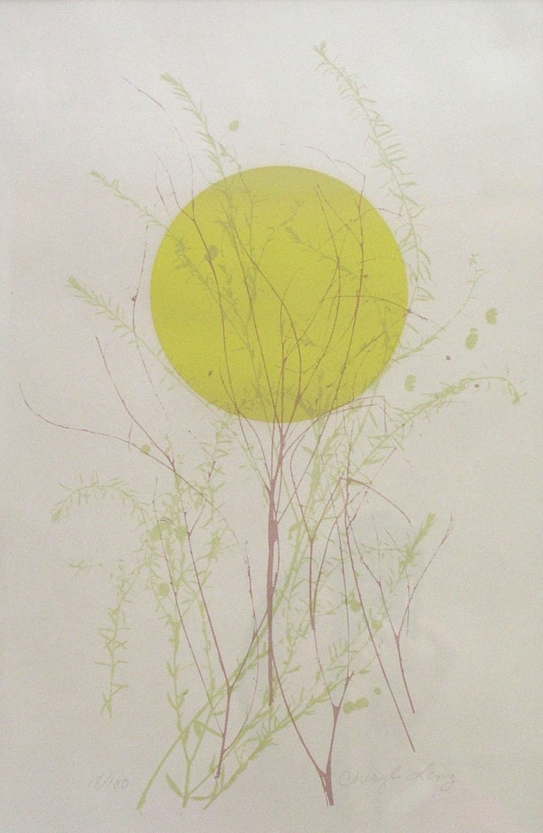 Sun by Cheryl Lenz  Image: "Sun (18/100)" by Cheryl Lenz, 1977