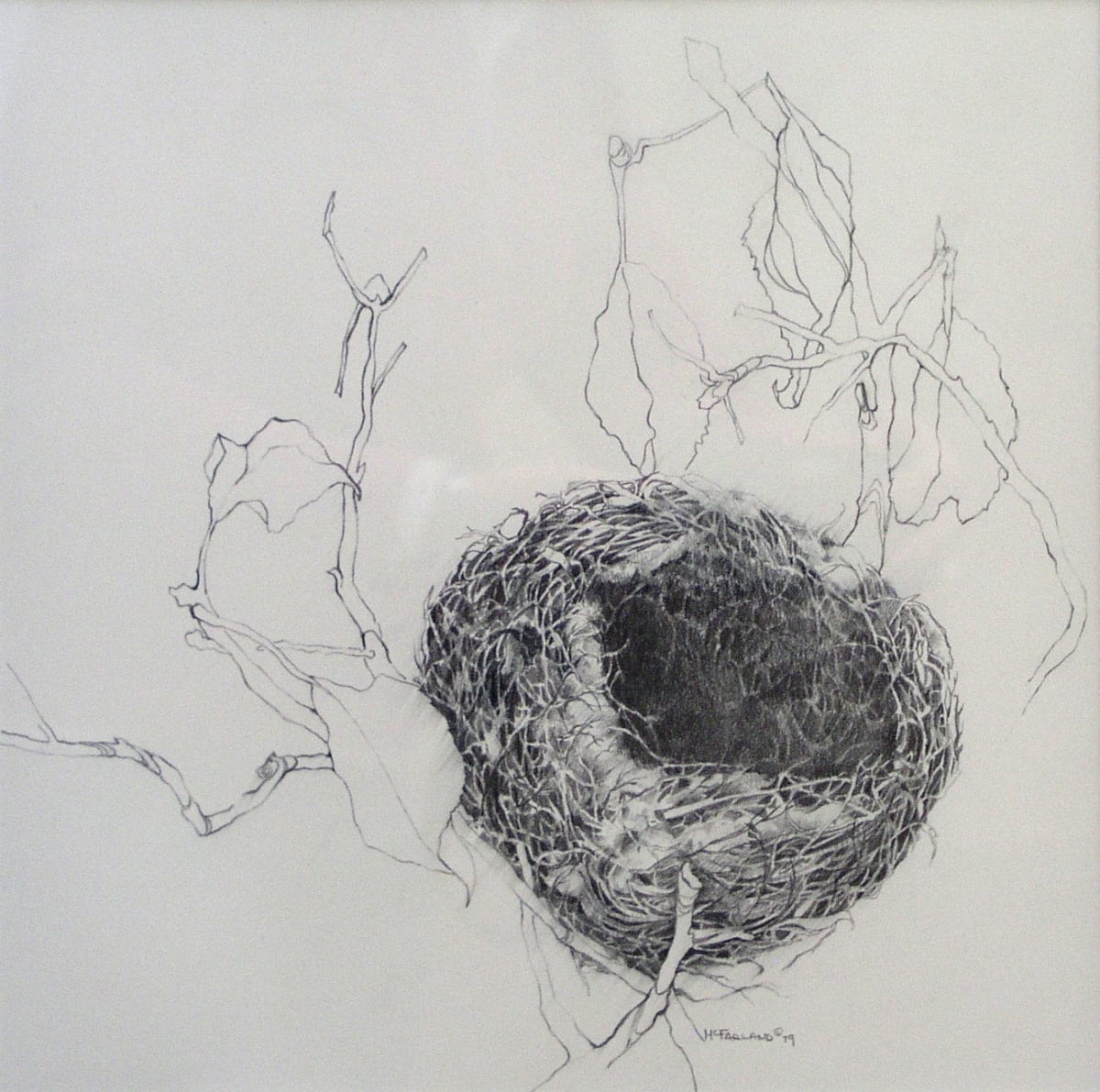 Empty Nest by Jackie McFarland 