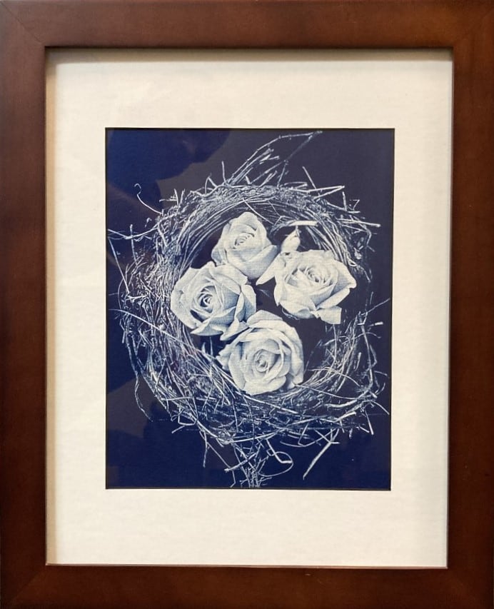 Bird's Nest Roses by Tom Ellison  Image: "Bird's Nest Roses" by Tom Ellison, 2017