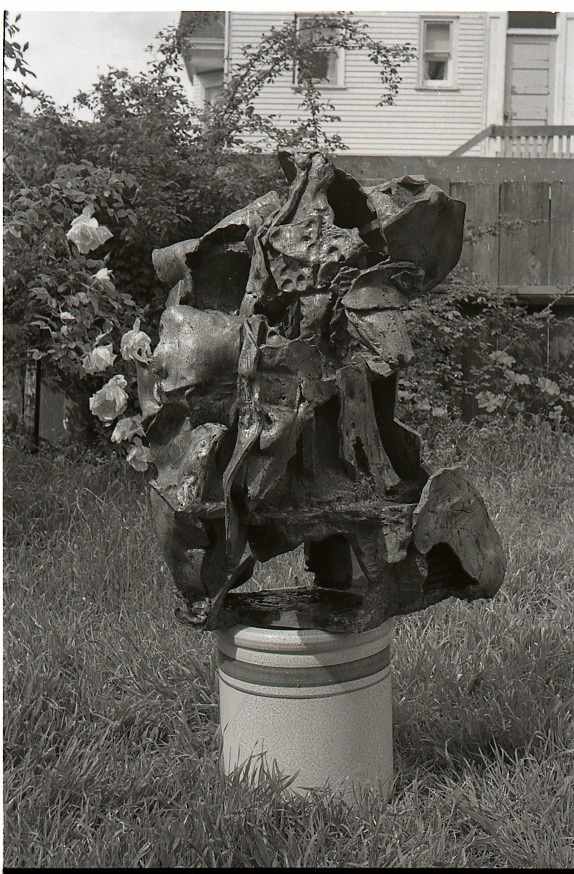 Canyon Survivor by William Underhill 